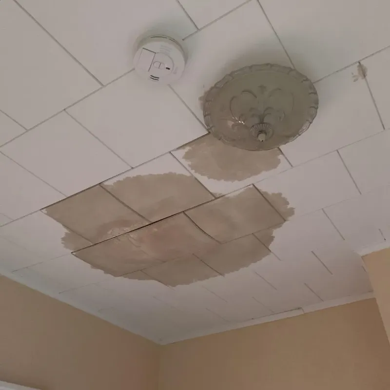 Ceiling Water Damage Repair in Newfane, NY