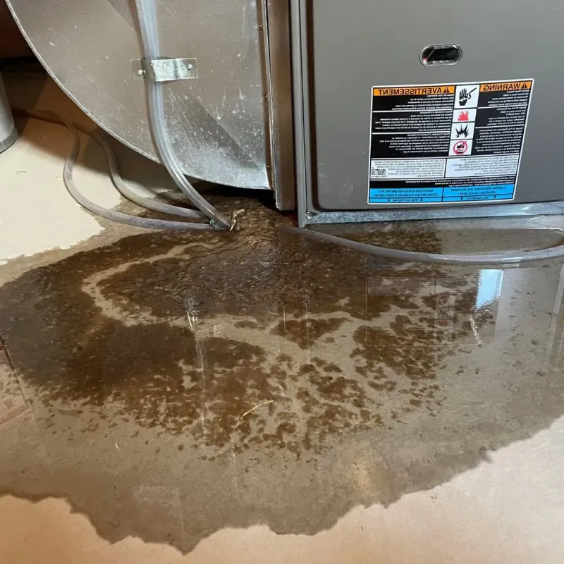 Pipe Burst and Leak Restoration in Newfane, NY